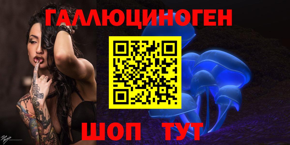 Камень-на-Оби  Псилоцибиновые грибы мицелий  Вход с VPN  Псилоцибиновые грибы GOLDEN TEACHER 