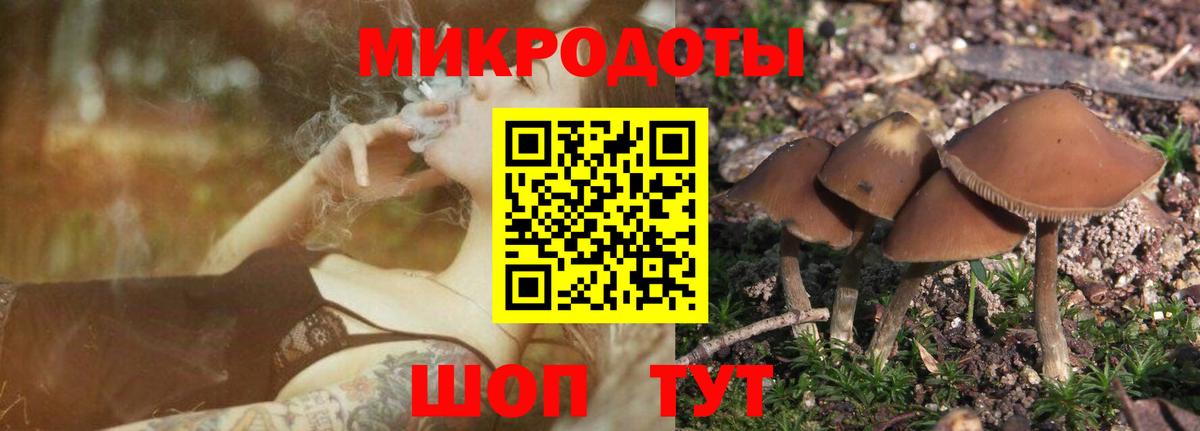 Галлюциногенные грибы MAGIC MUSHROOMS Камень-на-Оби